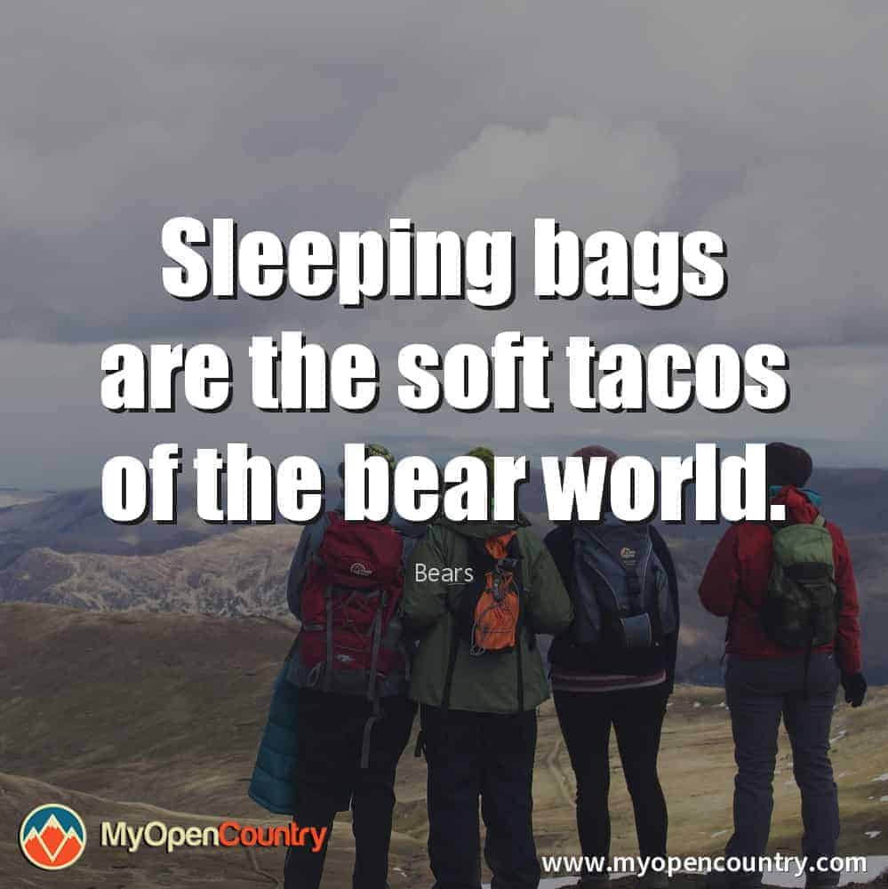 Sleeping bags are the soft tacos of the bear world. - Bears