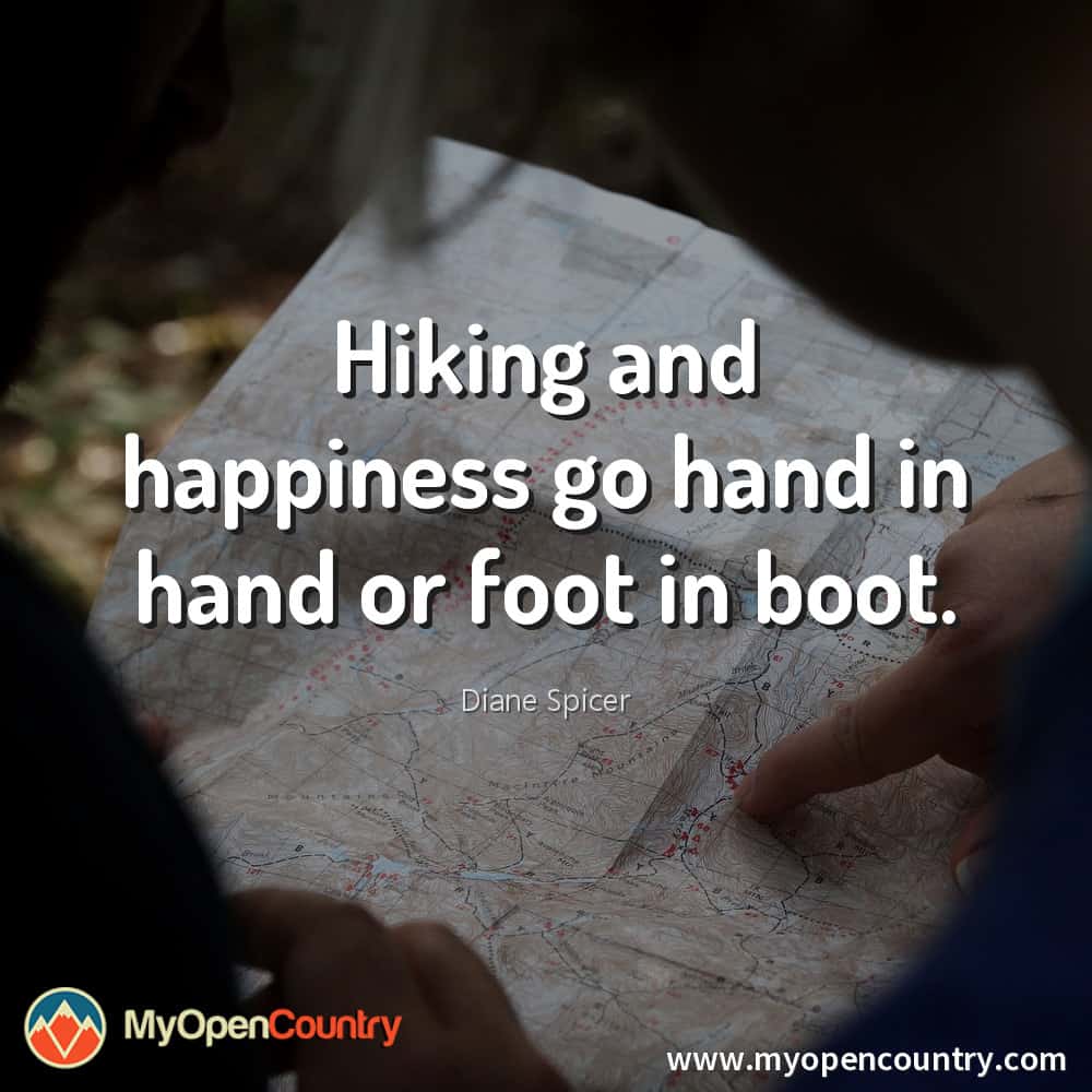 Hiking and happiness go hand in hand or foot in boot. - Diane Spicer
