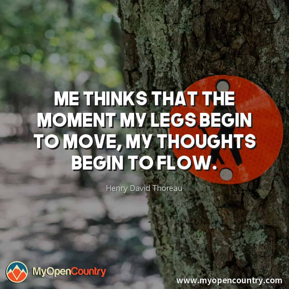 Me thinks that the moment my legs begin to move, my thoughts begin to flow. - Henry David Thoreau
