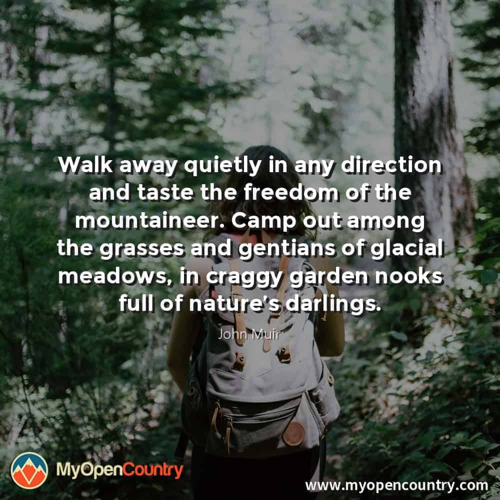 Walk away quietly in any direction and taste the freedom of the mountaineer. Camp out among the grasses and gentians of glacial meadows, in craggy garden nooks full of nature’s darlings. - John Muir