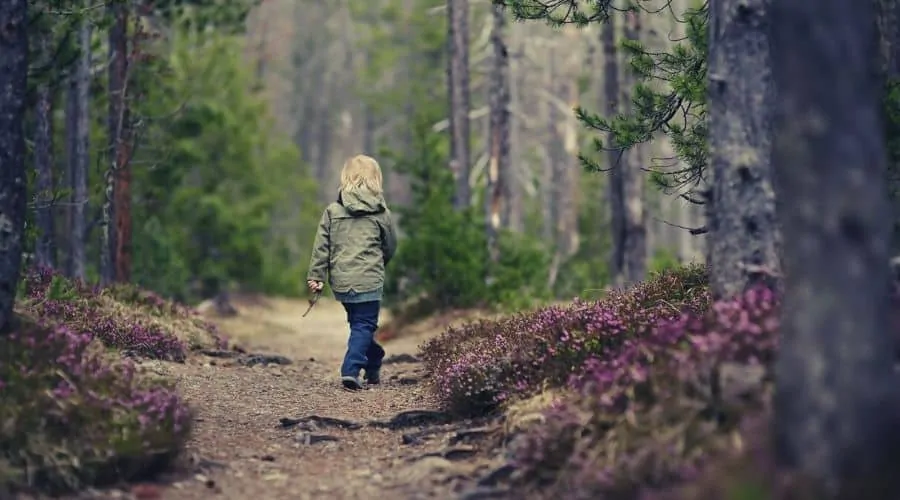 ragazzo che cammina nella foresta con il bastone