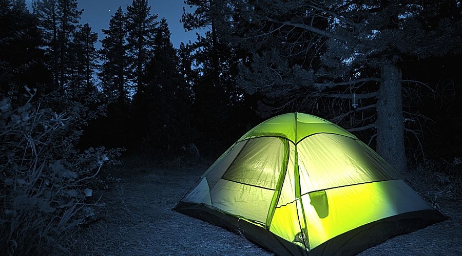 Small Camping Tent in dark forest - In Text