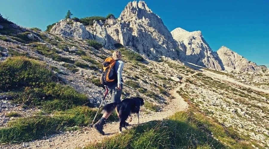 犬と一緒に登山道を歩く女性ハイカー intext