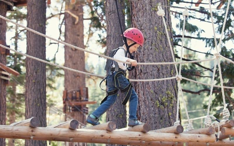 Kid on a tree top rope walk