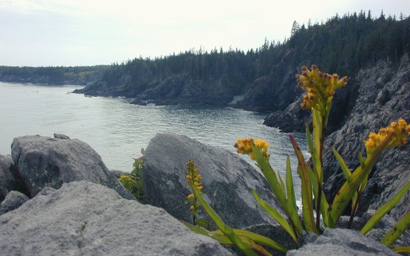Cutler Coast Public Reserved Land, Maine