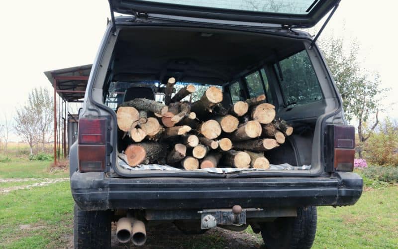 Campfire wood in the trunk of a car