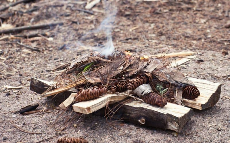 Dried out twigs and pine cones used as kindling for a fire