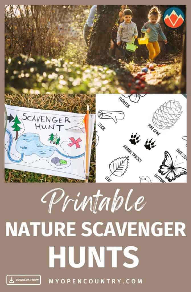 Ready to explore nature? Check out our all-season printable nature scavenger hunts! Free and designed for preschoolers to kids, these printables are perfect for a family walk or a school group activity. They cover everything from the new growth of spring to the falling leaves of autumn, making every season an opportunity to learn and explore. Just print, distribute, and watch as the little explorers engage with the environment around them in a fun and educational way.